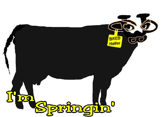 Imspringin.jpg